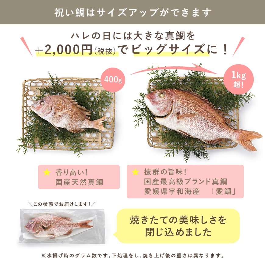 服部幸應先生監修お食い初め はじめての食育膳 Mogu Hagu ご自宅で簡単にお食い初めができるお食い初めセットや食器の宅配通販 お祝い膳 Com 服部幸應先生監修お食い初め はじめての食育膳 Mogu Hagu ご自宅で簡単にお食い初めができるお食い初めセットや食器の宅配通販 お祝い膳 Com