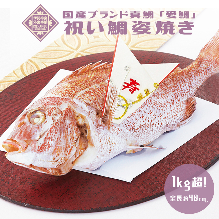 伊勢神宮外宮奉納 祝い鯛姿焼き 最高級ブランド真鯛『愛鯛』 1kg