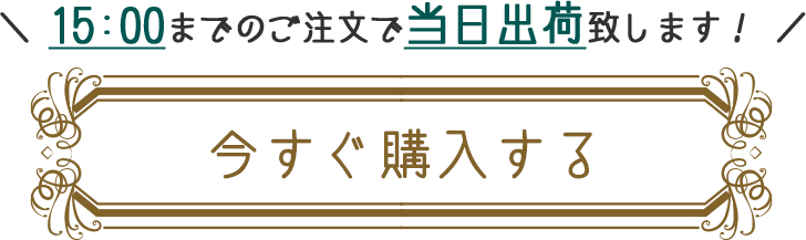 今すぐ購入