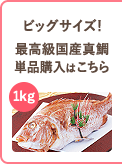 再購入国産真鯛単品購入はこちら