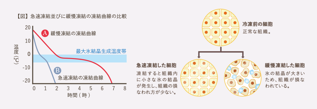 技術
