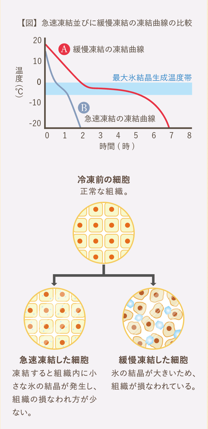 技術