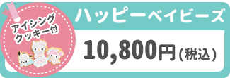 ハッピーベイビーズ 10,800円