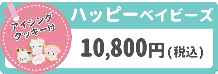 ハッピーベイビーズ 10,800円