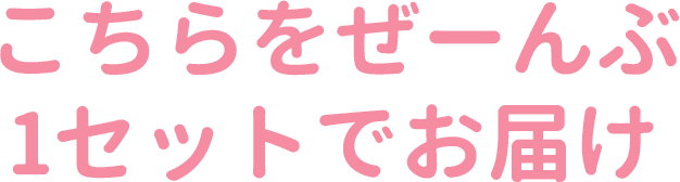 こちらをぜーんぶ1セットでお届け！