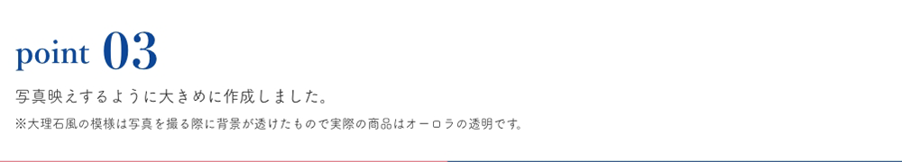 写真映えするように大きめに作成しました。