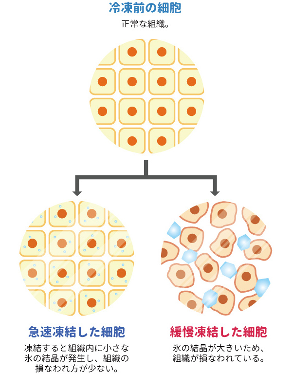 急速冷凍