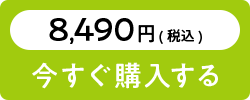 お食い初めセットを購入