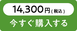 お食い初めセットを購入