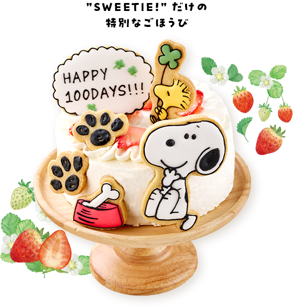 HAPPY 100DAYS