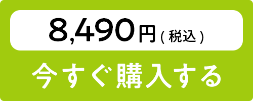 お食い初めセットを購入