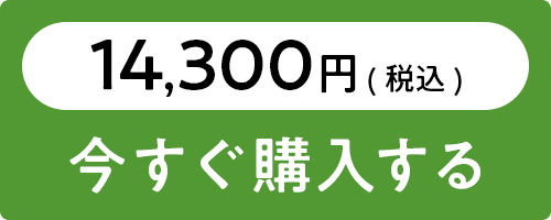お食い初めセットを購入