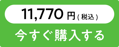お食い初めセットを購入