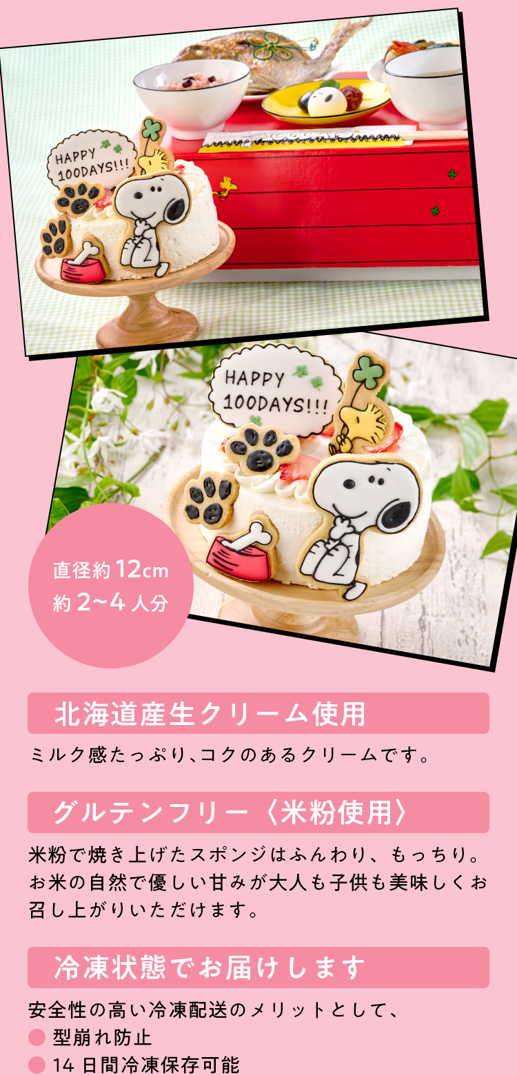 オリジナルのアイシングクッキーが6点。本格的なデコレーションケーキに飾ることができます。