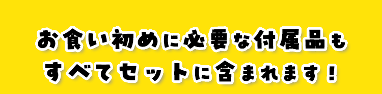 お食い初めに必要な付属品もすべてセットに含まれます！